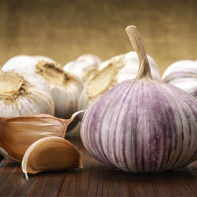 Foto von Knoblauch 4