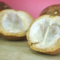 Photo du fruit santol 6