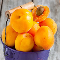 Photo d'abricots 4