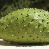 Photo du fruit corossol 4