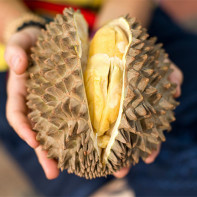 Photo de durian 5