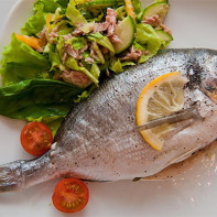 Photo de la dorade 5