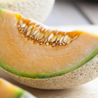 Photo de cantaloup 2