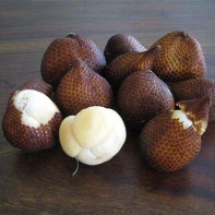 Photo du fruit salak 5