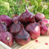 Photo d'oignon violet 3