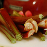 Photo de rhubarbe 2
