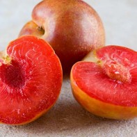 Photo du plumcot 4