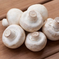 Photo de champignons de Paris 5