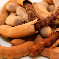 Foto der Tamarindenfrucht 4