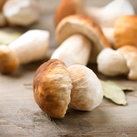 Bienfaits et inconvénients des cèpes