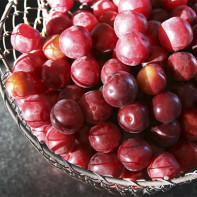 Photo de prune-cerise 3