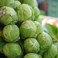 Foto von Rosenkohl 5