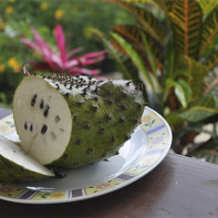 Photo du fruit corossol 3