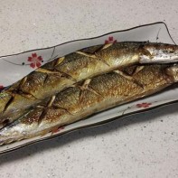 Foto von Saury 3