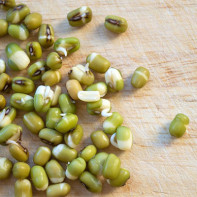 Photo de haricots mungo 4