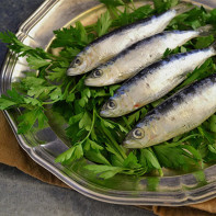 Photo de sardines 5