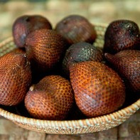 Photo du fruit salak 4