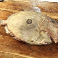 Foto des Dori 2