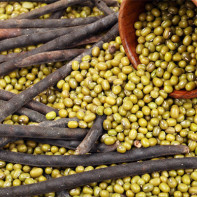Photo de haricots mungo 5