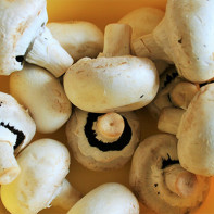 Photo de champignons de Paris