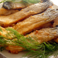 Foto des Silberkarpfens 5
