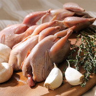 Photo de viande de caille 2