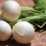 Photo de radis blanc 3
