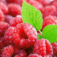 Foto von Himbeeren 5