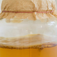 Photo de kombucha 5