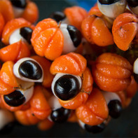 Foto von Guarana 5
