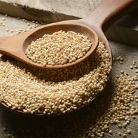 Sorghum-Foto 3