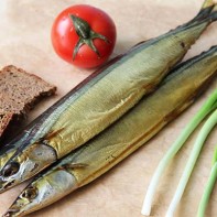 Foto von Saury 2