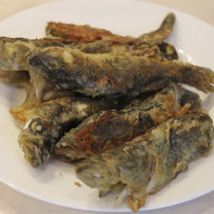 Photo du poisson rotan 3