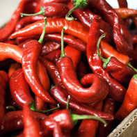 Photo de piment rouge fort 2