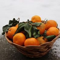 Foto von Mandarinen