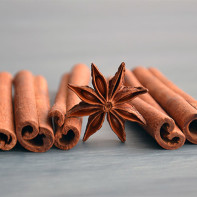 Photo de cannelle 3