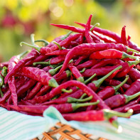 Photo de piment de Cayenne 4