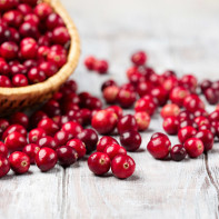 Cranberry-Foto 3