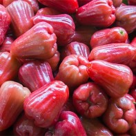 Photo de chompu