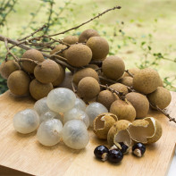 Photo du fruit longane 3