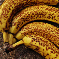 Photo de bananes 5