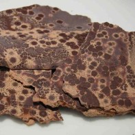 Chocolat avarié