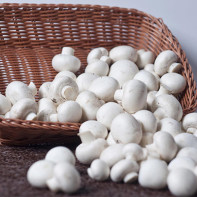 Photo de champignons de Paris 4