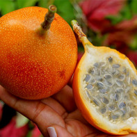 Foto der Granadillafrucht 5
