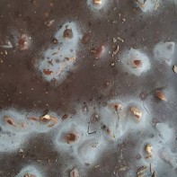 Chocolat avarié 2