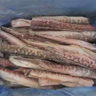 Photo de poisson-crevette 2