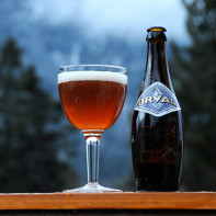 Photo de bière 4
