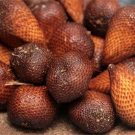 Photo du fruit salak 3