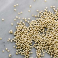 Sorghum-Foto 4