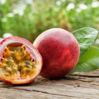 Photo du fruit de la passion 5